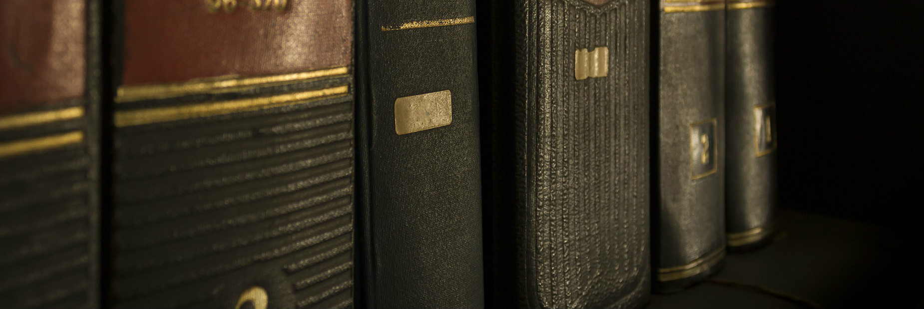A row of leather-bound law reports on a shelf